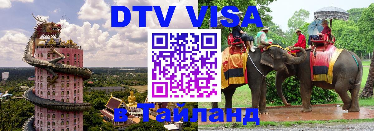 Оформление DTV визы под ключ: стоимость и тарифы, только загранпаспорт - Амстердам 